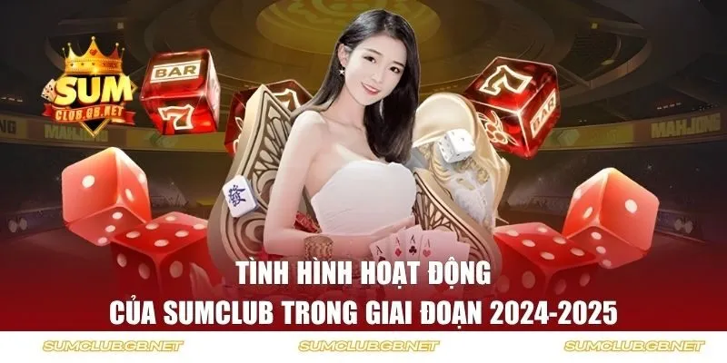 Tình hình hoạt động trong giai đoạn 2024-2025