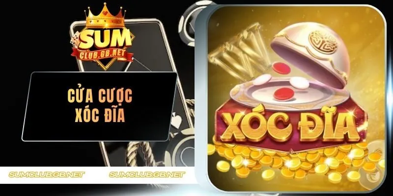 cửa cược xóc đĩa