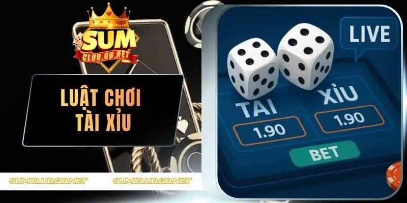 Luật Chơi Tài Xỉu Chuẩn Và Top Cửa Cược Phổ Biến Hiện Tại